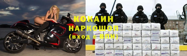 молекула духа Лиски