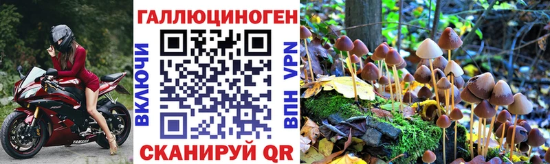 Псилоцибиновые грибы MAGIC MUSHROOMS  Купить где  Нефтекумск 